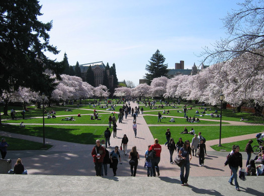 留学生のための大学訪問記：University of Washington ワシントン大学イメージ