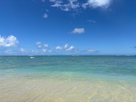 ALOHA!!