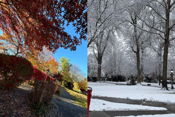 秋の綺麗な紅葉から、グッと寒くなって大雪が降るキャンパス。四季折々で心が癒されます。