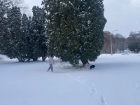 博士課程二年目秋学期イメージ