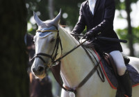 馬術・馬学でアメリカ留学イメージ