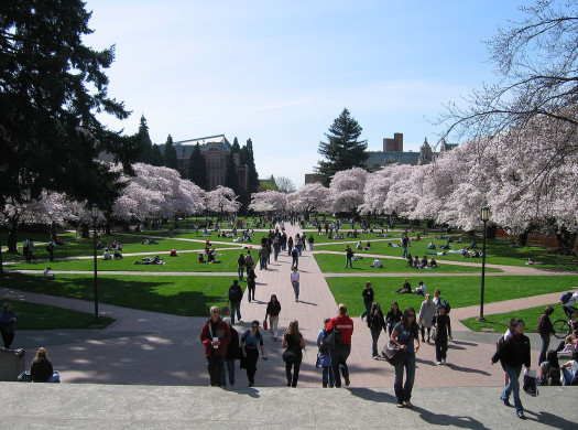留学生のための大学訪問記：University of Washington ワシントン大学イメージ