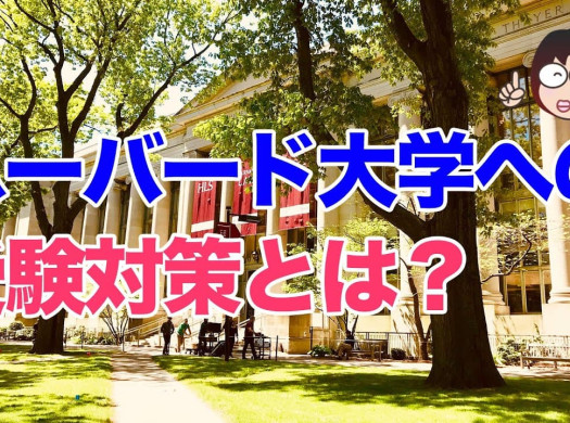 ハーバード大学への受験対策とは？イメージ