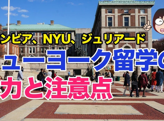 憧れのニューヨーク留学、魅力と注意点イメージ