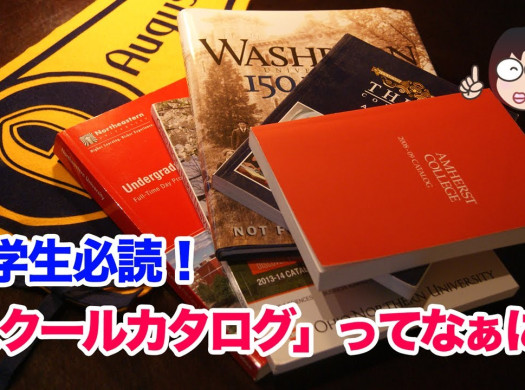 【留学生必読！】大学選びに必須の「スクールカタログ」とは？イメージ