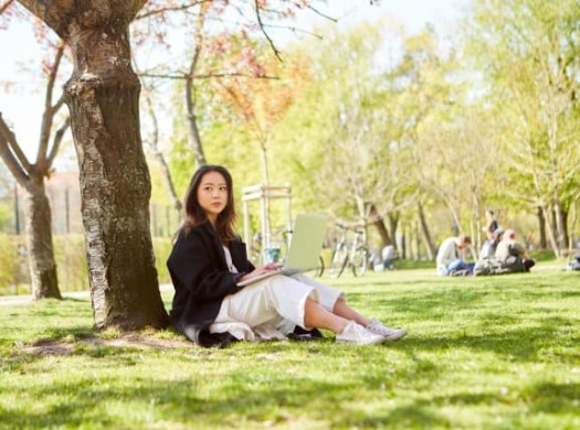 アメリカの大学から退学させられる子に、高校留学経験者が多いのはなぜ？イメージ