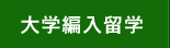 大学編入留学